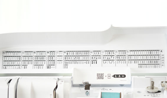 241�ַ����뼣