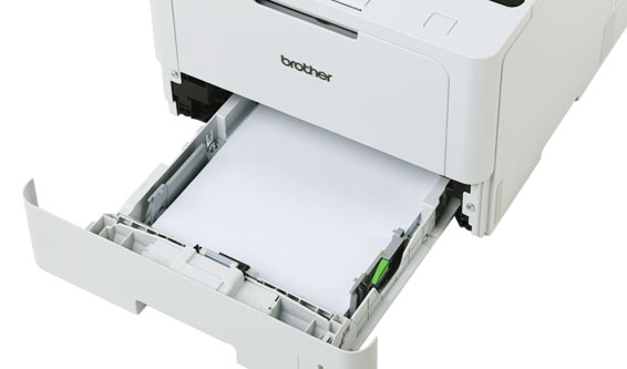 ������ֽ��