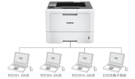 ��ȫ������