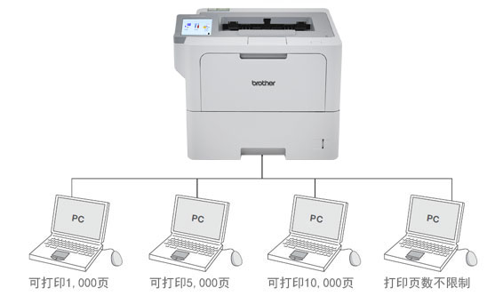 ��ȫ������