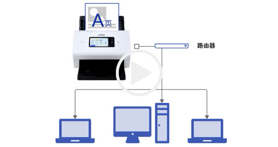 ����/����˫����