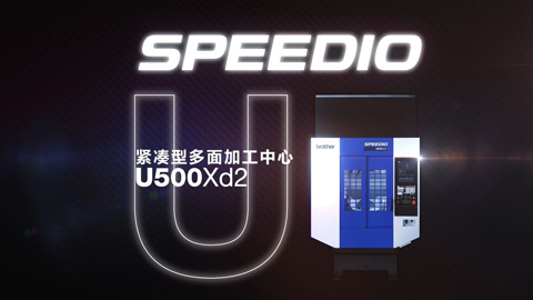 ����������Ƶ